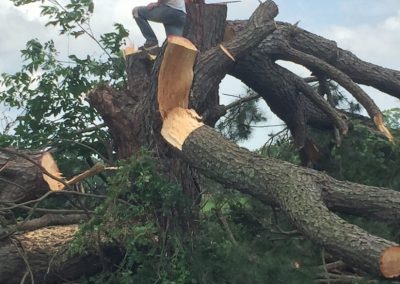 Remarkable Tree Service