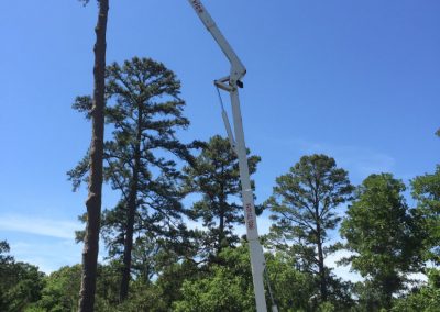 Spectacular Tree Service