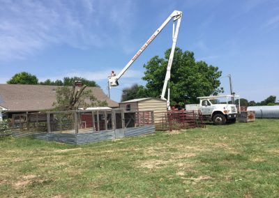 Strategic Tree Service