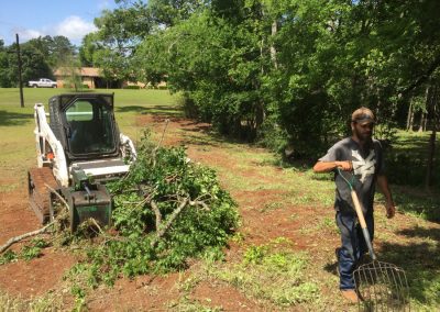 Trusting Tree Service