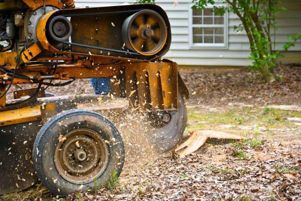 Stump Grinding Stump Grinding