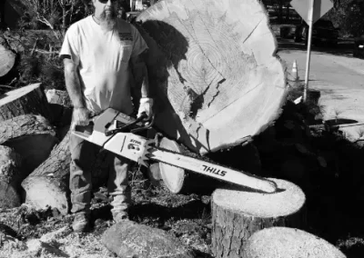 Tree Cutting Service